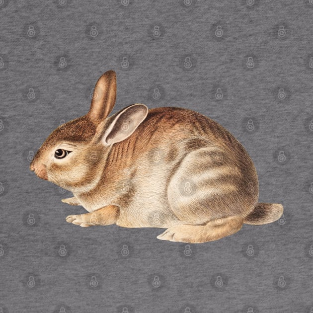 Vintage Bunny Rabbit by RadiantMonk